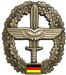 Die Heeresfliegertruppe