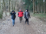 Winterwanderung und Gr�nkohlessen 2017- Endspurt